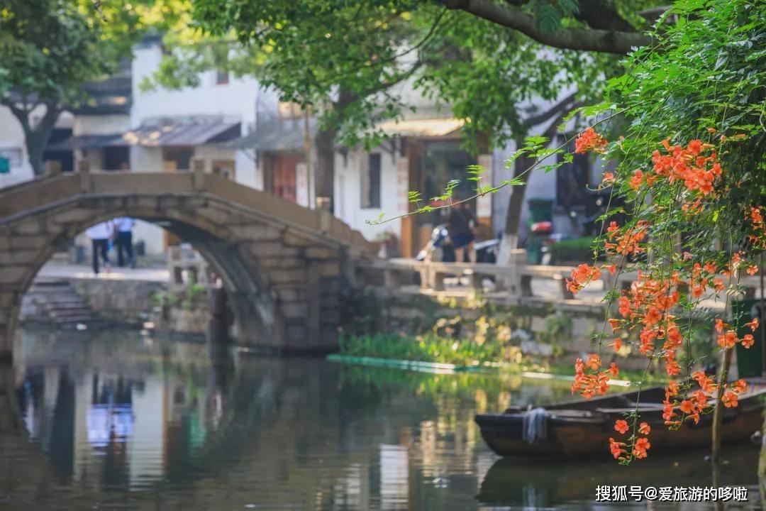 美人鱼游玩